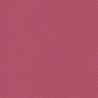 Cartulina Mi-Teintes Canson 114 Framboise de 160 G 50X65 CM