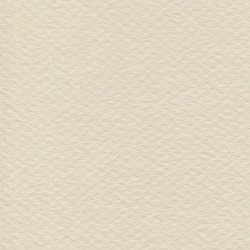 Cartulina Mi-Teintes Canson 112 Coquille de 160 G 50X65 CM