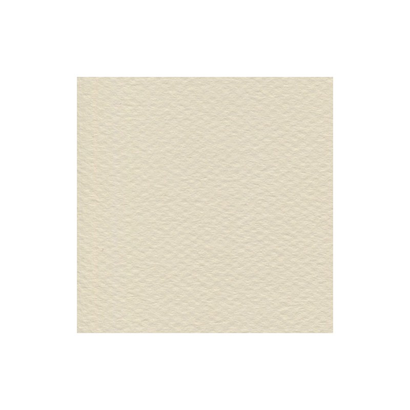 Cartulina Mi-Teintes Canson 112 Coquille de 160 G 50X65 CM