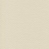 Cartulina Mi-Teintes Canson 112 Coquille de 160 G 50X65 CM