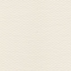 Cartulina Mi-Teintes Canson 110 Lys de 160 G 50X65 CM