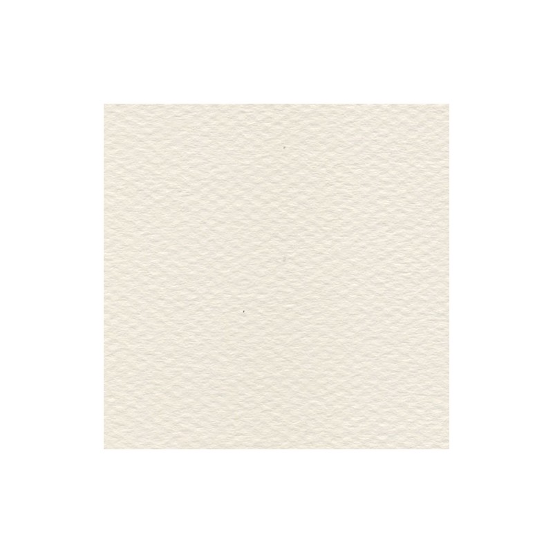 Cartulina Mi-Teintes Canson 110 Lys de 160 G 50X65 CM