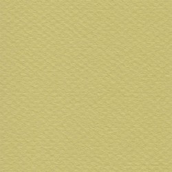Cartulina Mi-Teintes Canson 107 Anis de 160 G 50X65 CM