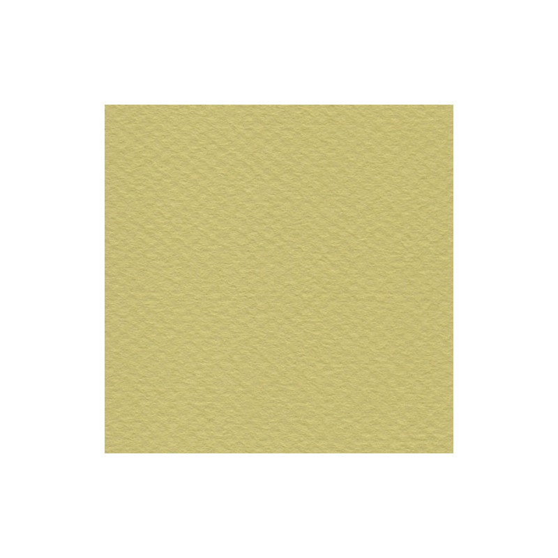 Cartulina Mi-Teintes Canson 107 Anis de 160 G 50X65 CM