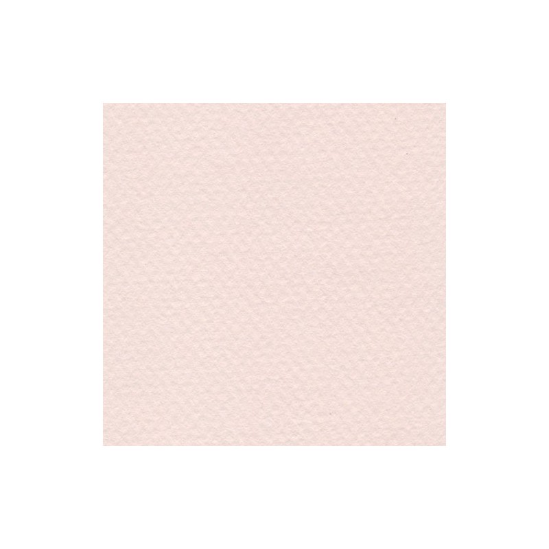 Cartulina Mi-Teintes Canson 103 Aurore de 160 G 50X65 CM