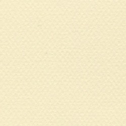 Cartulina Mi-Teintes Canson 101 Citronnelle de 160 G 50X65 CM