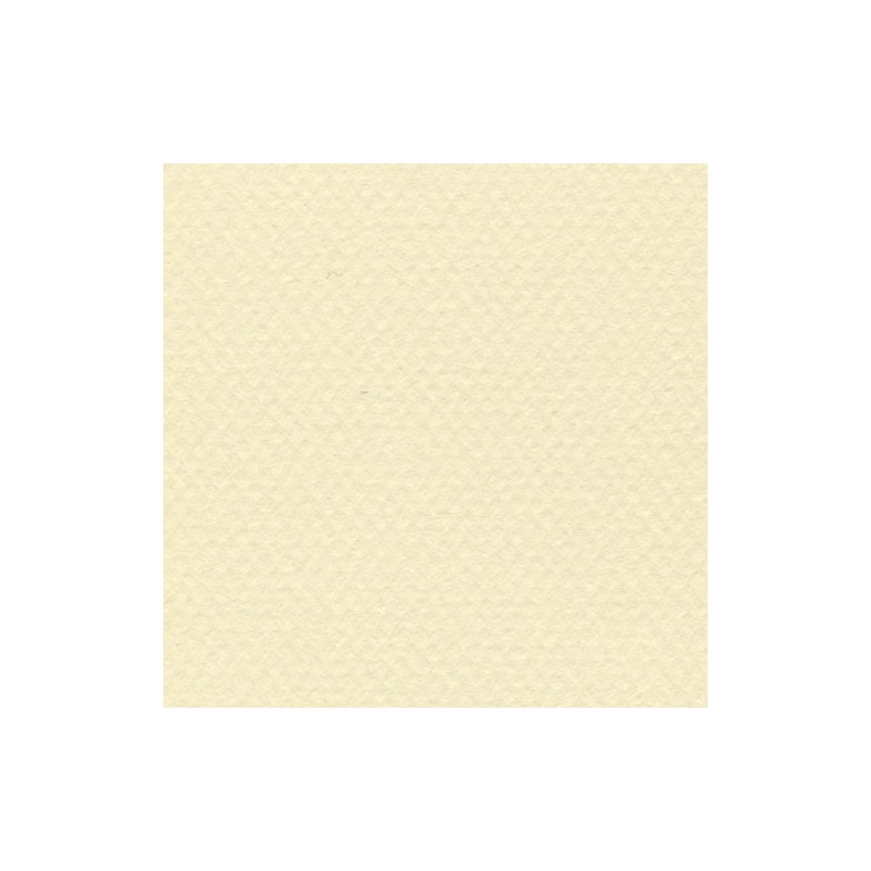 Cartulina Mi-Teintes Canson 101 Citronnelle de 160 G 50X65 CM