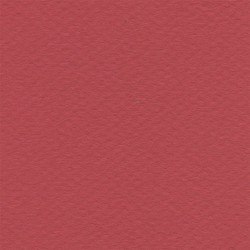 Cartulina Mi-Teintes Canson 505 Rouge Vif de 160 G 50X65 CM