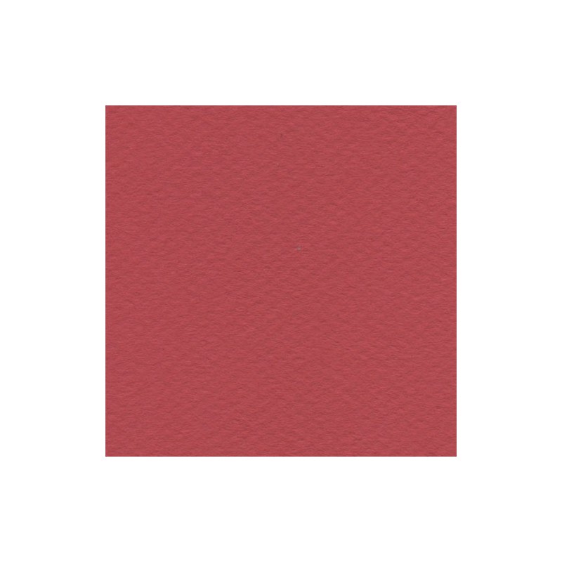 Cartulina Mi-Teintes Canson 505 Rouge Vif de 160 G 50X65 CM
