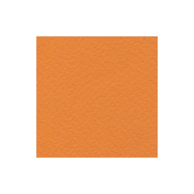Cartulina de Arte Importada Fabriano Tiziano Arancio 70X100 160 G 112K