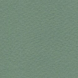 Cartulina de Arte Importada Fabriano Tiziano Salvia 70X100 160 G 112K