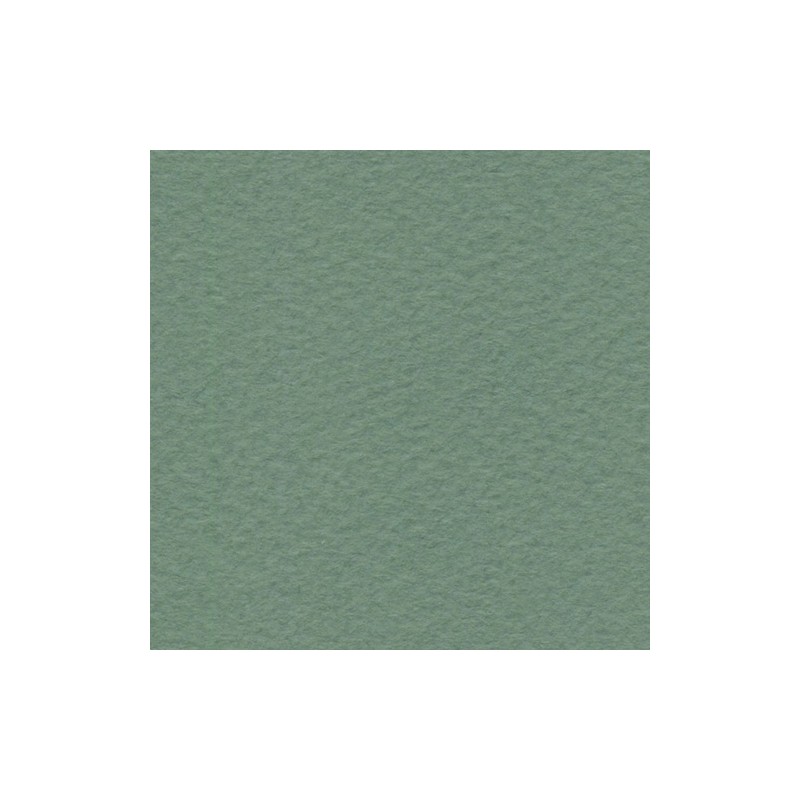 Cartulina de Arte Importada Fabriano Tiziano Salvia 70X100 160 G 112K