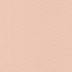 Cartulina de Arte Importada Fabriano Tiziano Rosa 70X100 160 G 112K