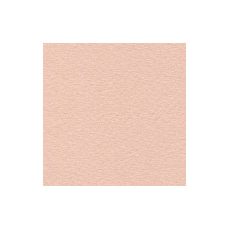 Cartulina de Arte Importada Fabriano Tiziano Rosa 70X100 160 G 112K
