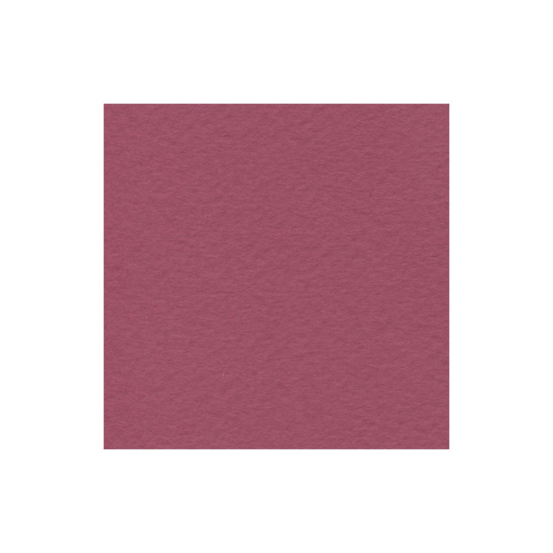 Cartulina de Arte Importada Fabriano Tiziano Viola 70X100 160 G 112K