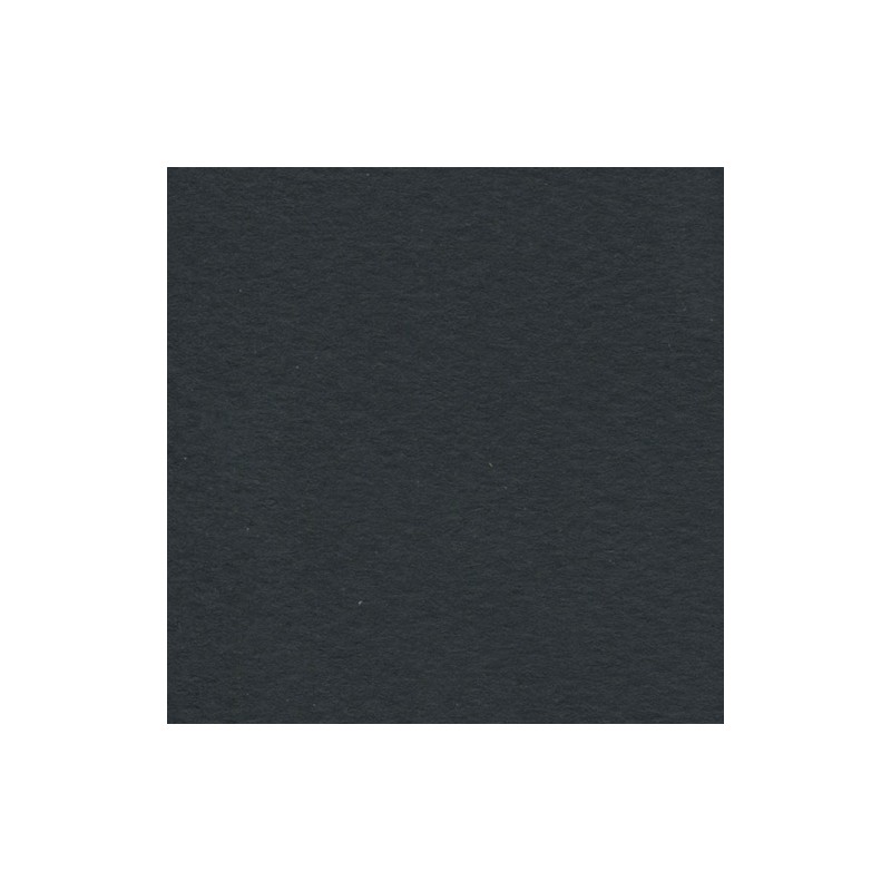 Cartulina de Arte Importada Fabriano Tiziano Nero 70X100 160 G 112K