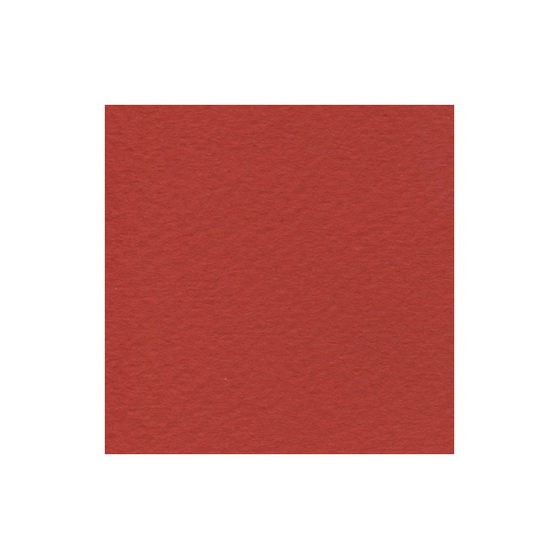 Cartulina de Arte Importada Fabriano Tiziano Vesovio 70X100 160 G 112K