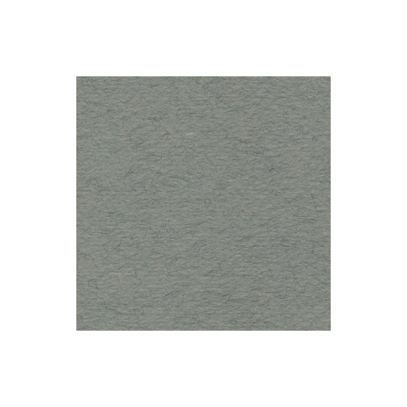 Cartulina de Arte Importada Fabriano Tiziano Nebbia 70X100 160 G 112K