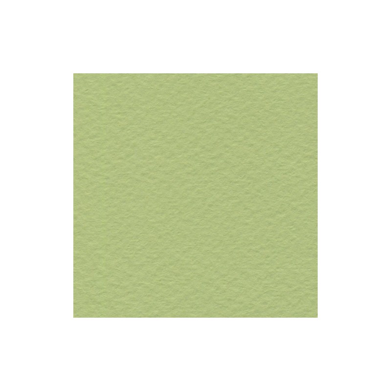 Cartulina de Arte Importada Fabriano Tiziano Verduzzo 70X100 160 G 112K