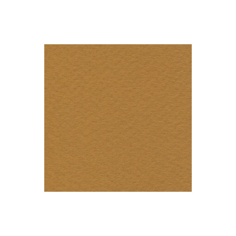Cartulina de Arte Importada Fabriano Tiziano Siena 70X100 160 G 112K