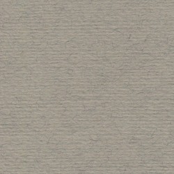 Cartulina de Arte Importada Fabriano Tiziano China 70X100 160 G 112K