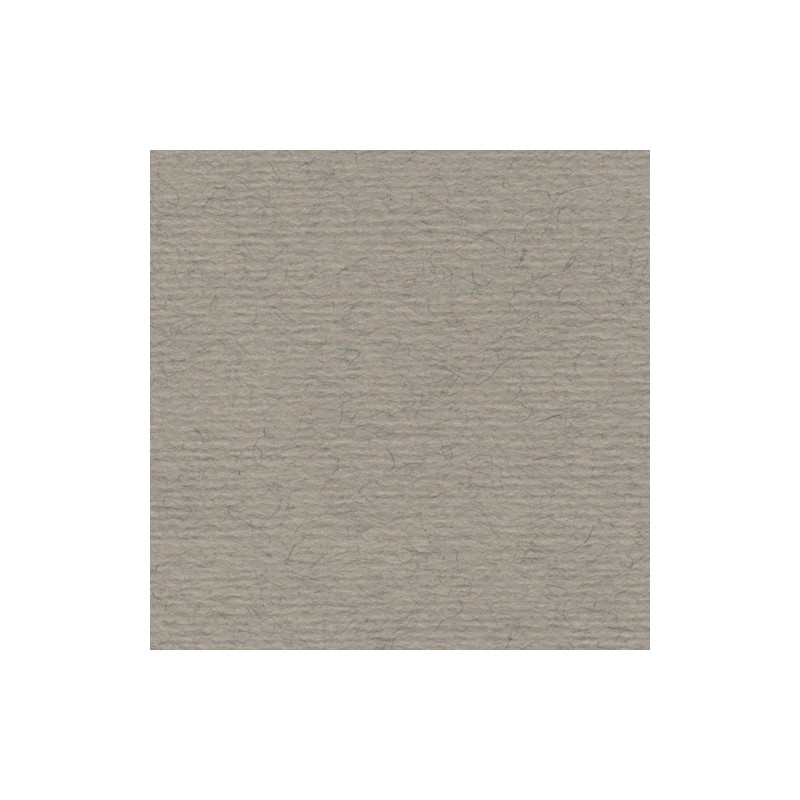 Cartulina de Arte Importada Fabriano Tiziano China 70X100 160 G 112K