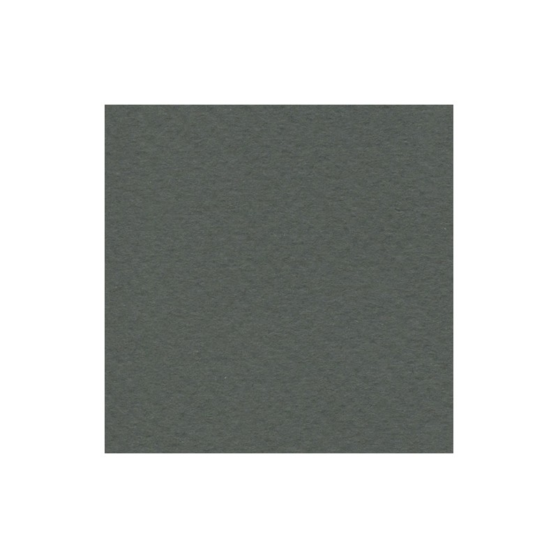 Cartulina de Arte Importada Fabriano Tiziano Antracite 70X100 160 G 112K