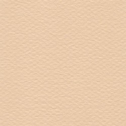 Cartulina Mi-Teintes Canson 350 Rose Muraile de 160 G 50X65 CM