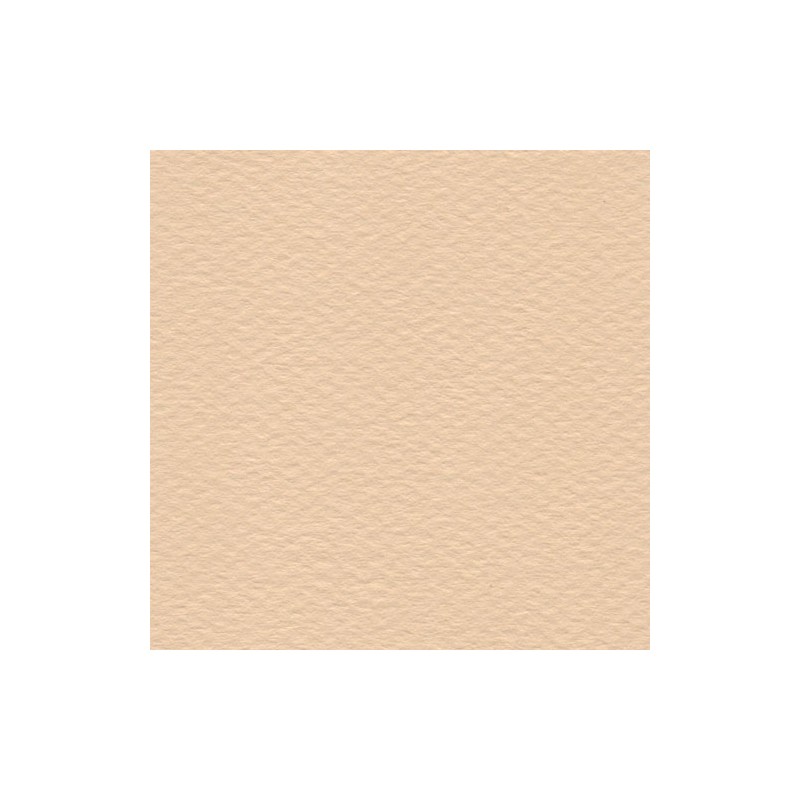 Cartulina Mi-Teintes Canson 350 Rose Muraile de 160 G 50X65 CM