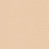 Cartulina Mi-Teintes Canson 350 Rose Muraile de 160 G 50X65 CM