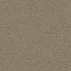 Cartulina Mi-Teintes Canson 336 Cachou de 160 G 50X65 CM