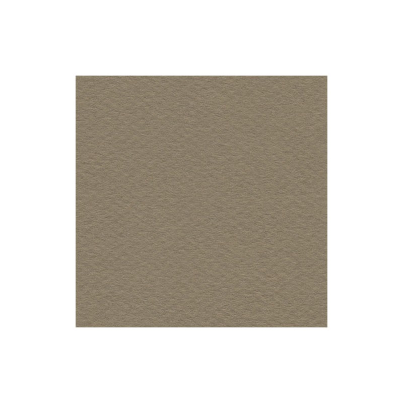 Cartulina Mi-Teintes Canson 336 Cachou de 160 G 50X65 CM