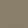 Cartulina Mi-Teintes Canson 336 Cachou de 160 G 50X65 CM