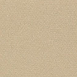 Cartulina Mi-Teintes Canson 340 Chanvre Clair de 160 G 50X65 CM