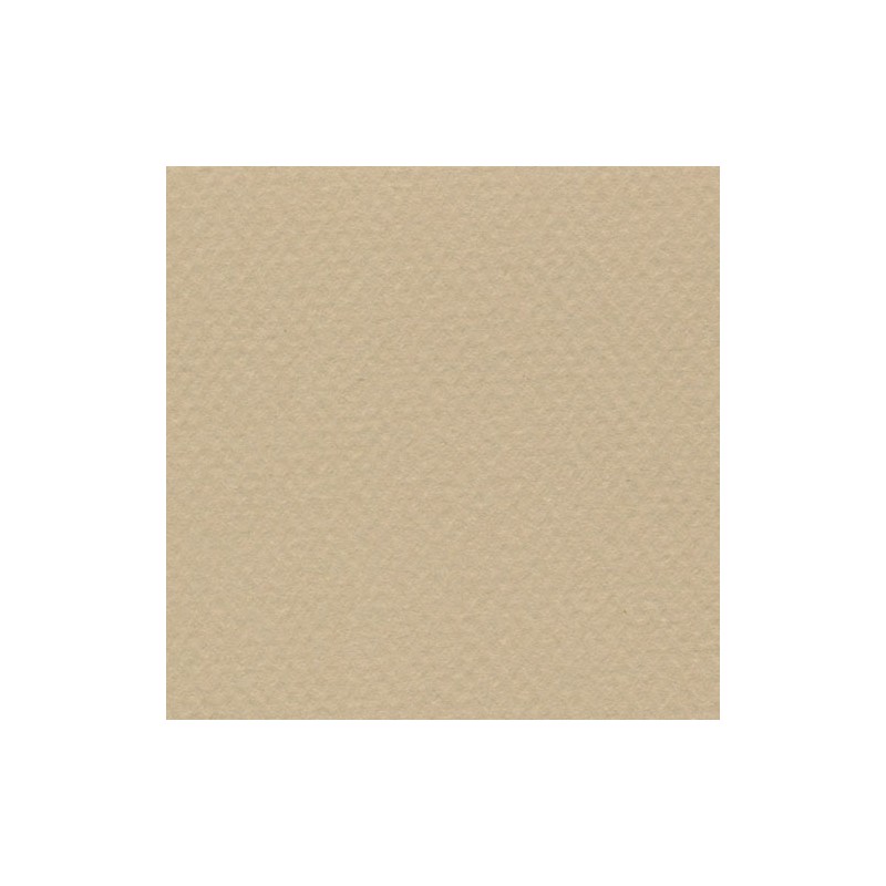 Cartulina Mi-Teintes Canson 340 Chanvre Clair de 160 G 50X65 CM