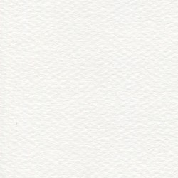 Cartulina Mi-Teintes Canson 335 Blanco de 160 G 50X65 CM