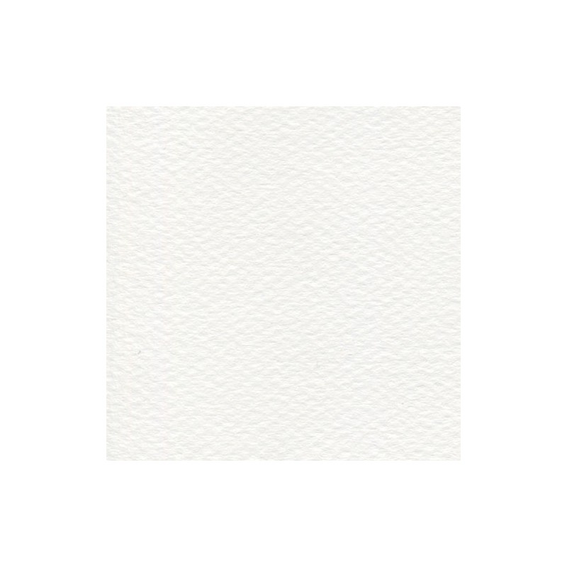 Cartulina Mi-Teintes Canson 335 Blanco de 160 G 50X65 CM