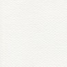 Cartulina Mi-Teintes Canson 335 Blanco de 160 G 50X65 CM