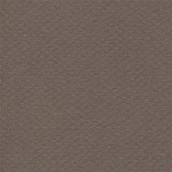 Cartulina Mi-Teintes Canson 133 Sepia de 160 G 50X65 CM