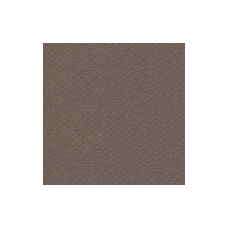 Cartulina Mi-Teintes Canson 133 Sepia de 160 G 50X65 CM