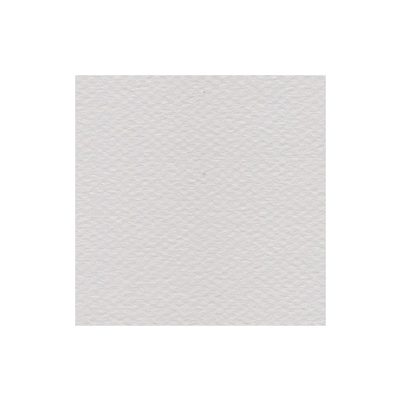 Cartulina Mi-Teintes Canson 120 Gris Perle de 160 G 50X65 CM