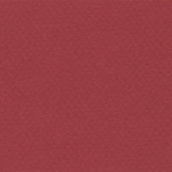 Cartulina Mi-Teintes Canson 116 Bordeaux de 160 G 50X65 CM