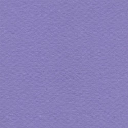 Cartulina Mi-Teintes Canson 113 Myrtille de 160 G 50X65 CM