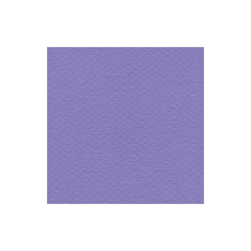 Cartulina Mi-Teintes Canson 113 Myrtille de 160 G 50X65 CM