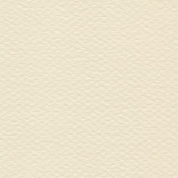 Cartulina Mi-Teintes Canson 111 Ivoire de 160 G 50X65 CM