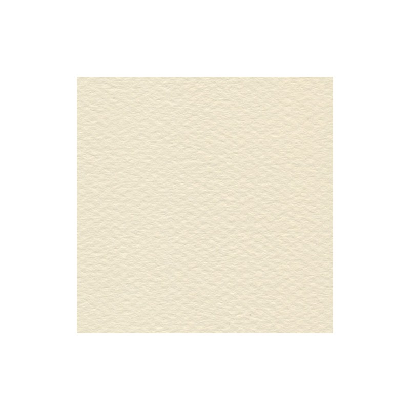 Cartulina Mi-Teintes Canson 111 Ivoire de 160 G 50X65 CM