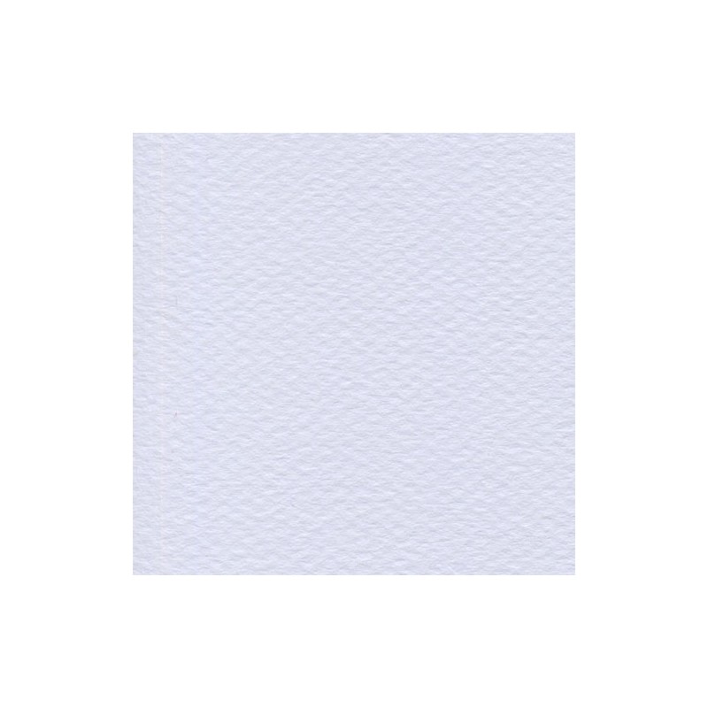 Cartulina Mi-Teintes Canson 104 Lilas de 160 G 50X65 CM