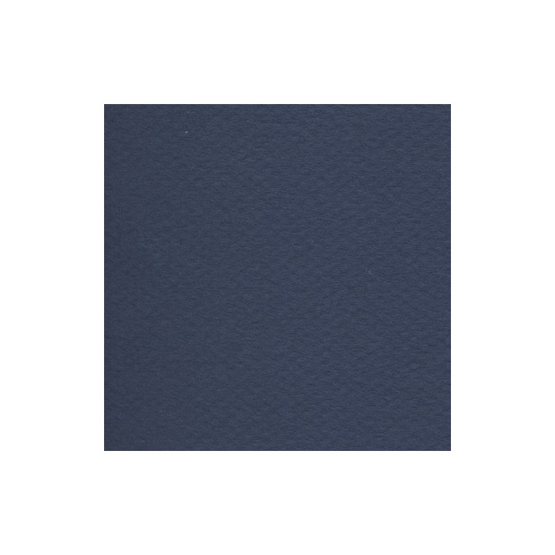 Cartulina Mi-Teintes Canson 140 Bleu Índigo de 160 G 50X65 CM