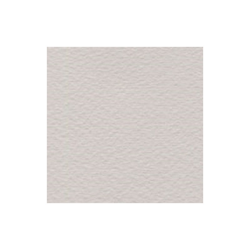 Cartulina de Arte Importada Fabriano Tiziano Perla 70X100 160 G 112K