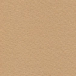 Cartulina de Arte Importada Fabriano Tiziano Mandorla 70X100 160 G 112K